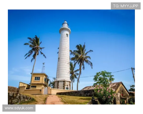 受限制自由球员动态更新格莱姆斯未续约小火车获报价库明加续约两年解析